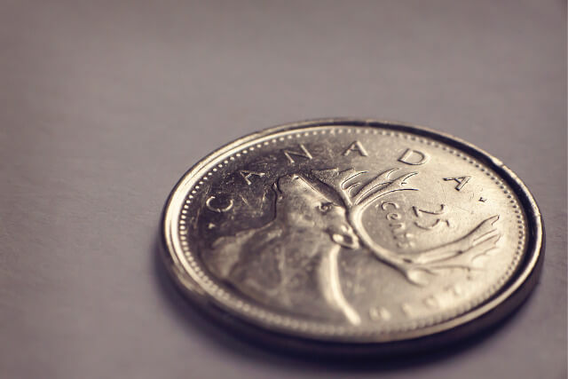 メイプルリーフなどカナダコインの価値や買取相場を種類別に解説