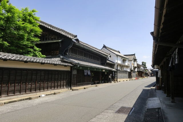 引き振袖とはどんな着物？黒引き振袖や色打掛との違いを解説