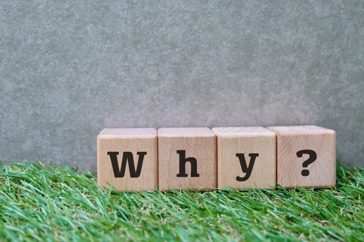 芝生の上に置いてある「Why？」と書かれたブロック