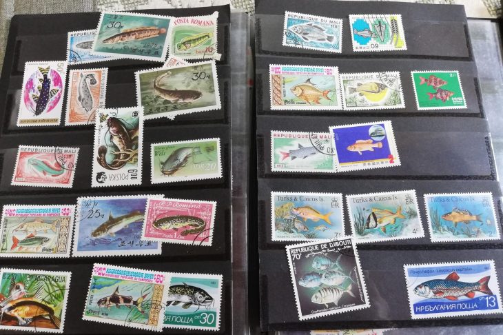 切手アルバムに収納された魚の切手
