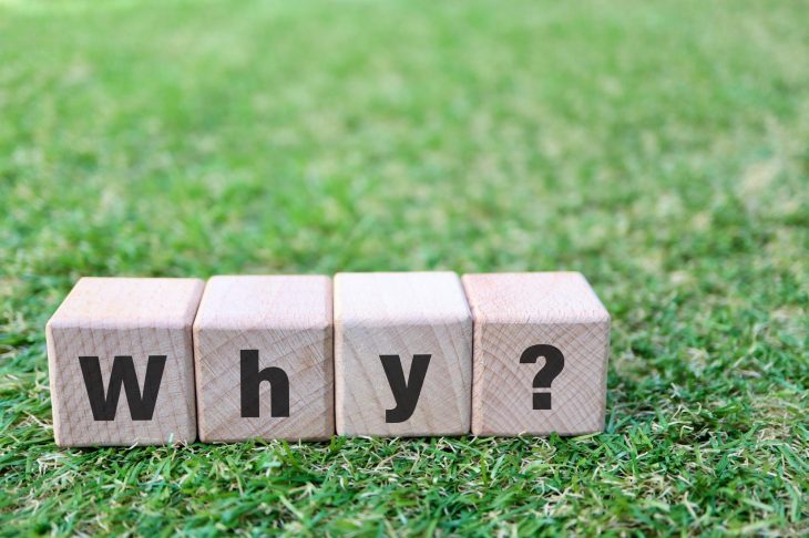 「Why?」と書かれたブロックが芝生の上に置いてある