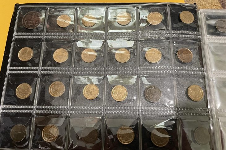 1枚ずつアルバムに保管された硬貨