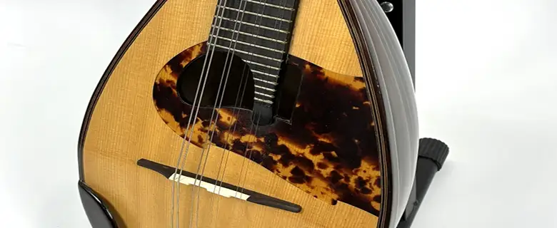 マンドリンの画像