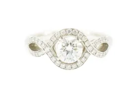 リリークラスターの画像