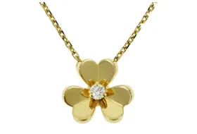 フリヴォルの画像