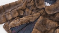 状態不良の毛皮