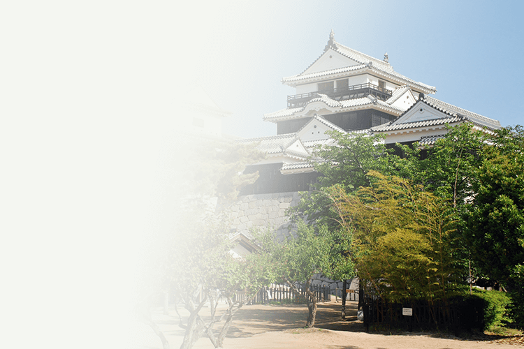 愛媛県 古銭買取