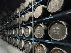 リシャールの画像