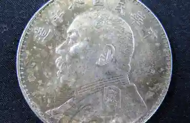 袁世凱 中華民國八年造 壹圓