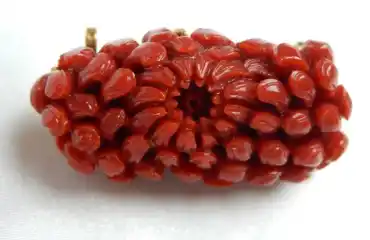 帯留め