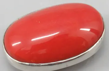 帯留め
