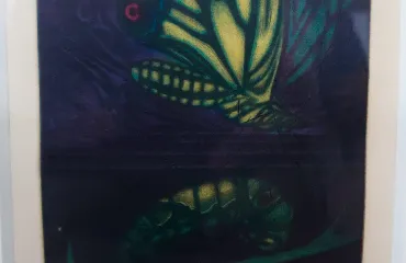 加山又造 メタモルフォーシス